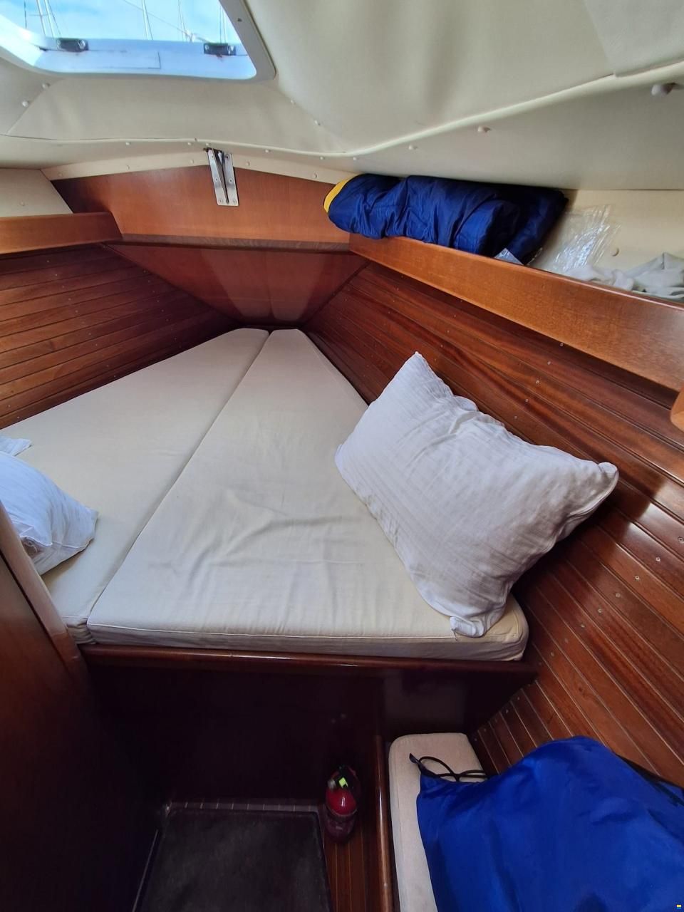 Argo Mare DUCK 41