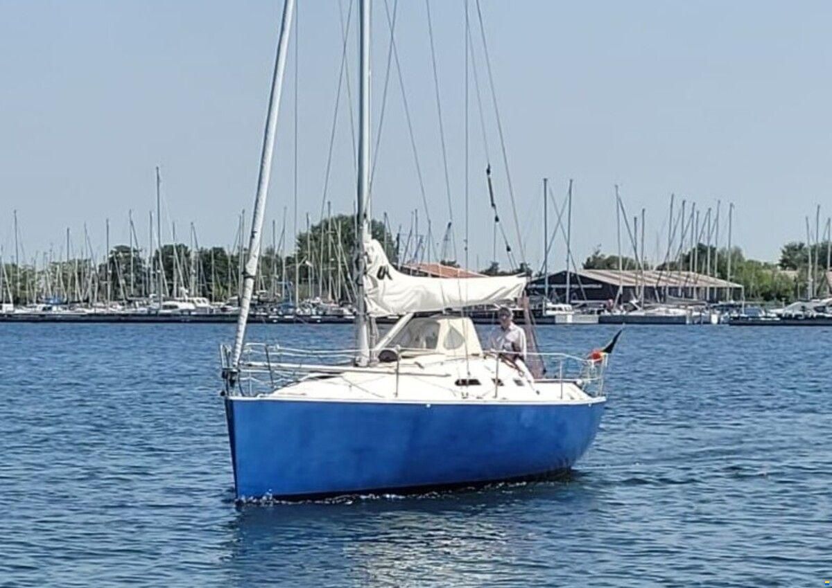 Astraea 295 Sprinter