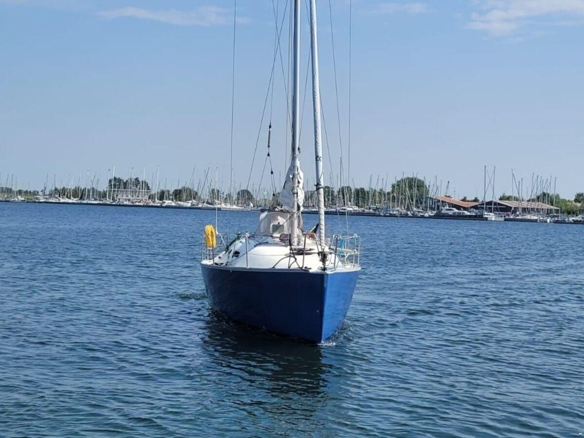 Astraea 295 Sprinter