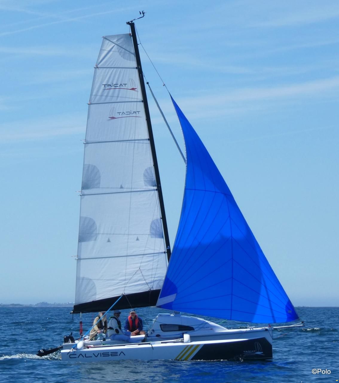 Tricat 20