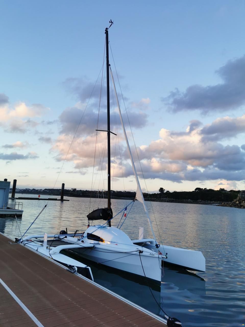 Tricat 20