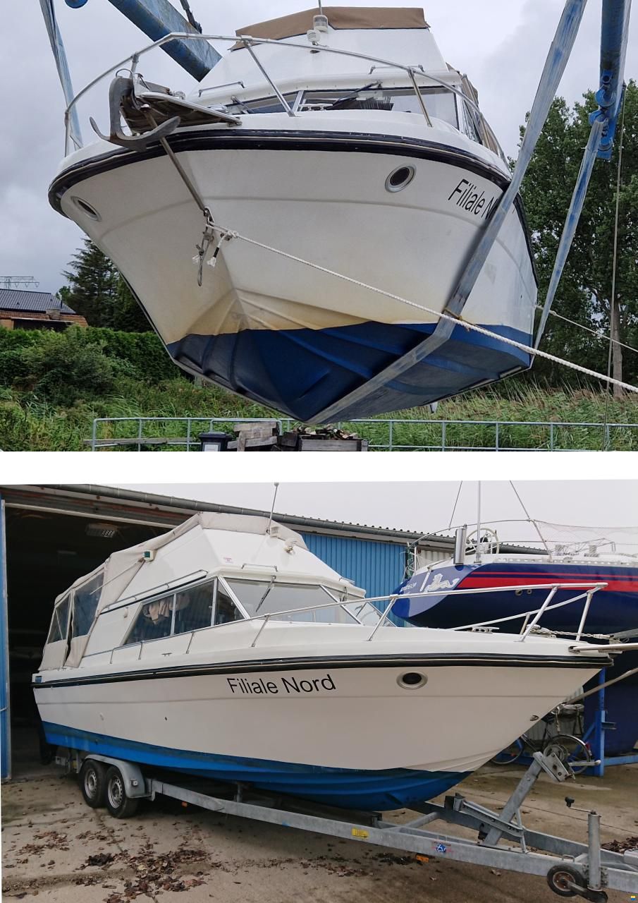 Campion Toba Fly 26