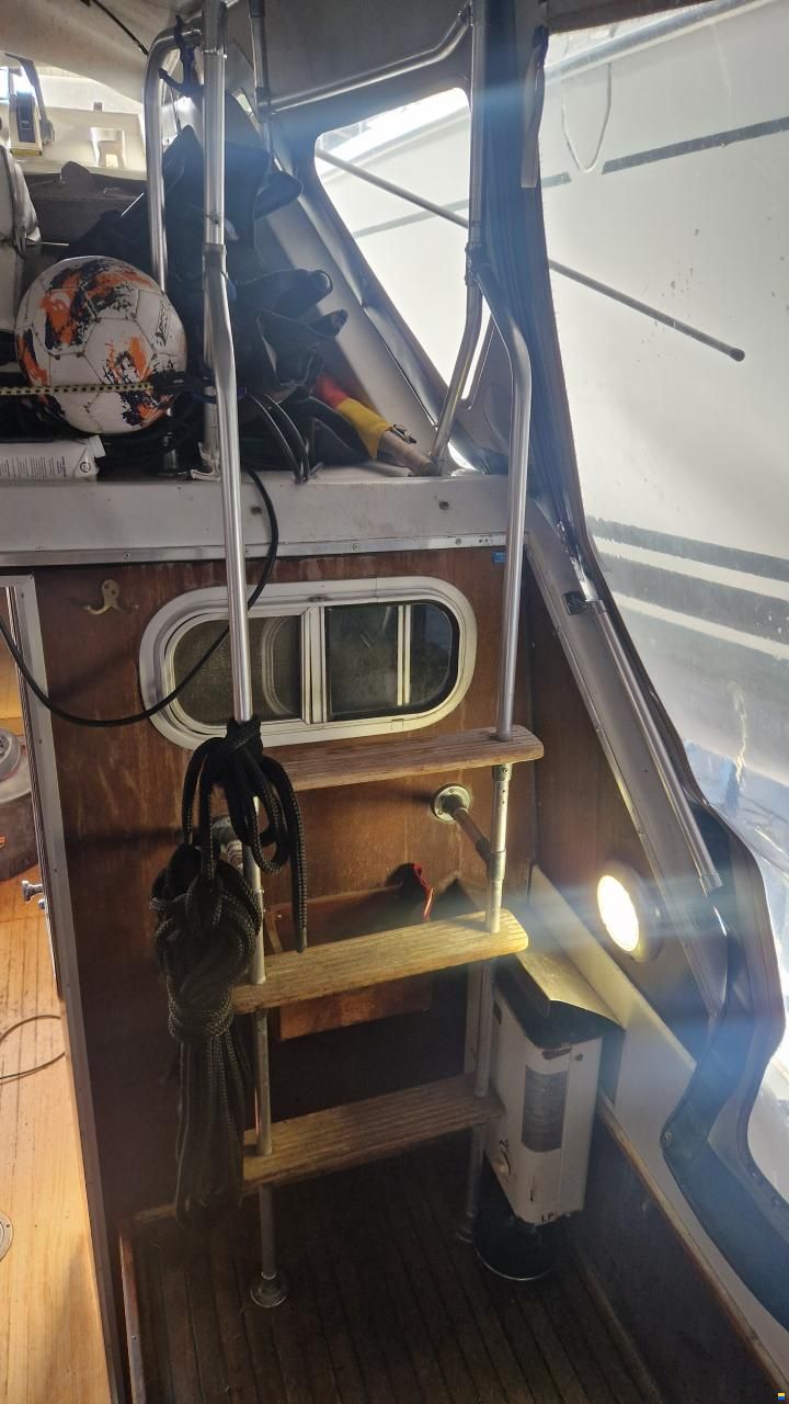 Campion Toba Fly 26