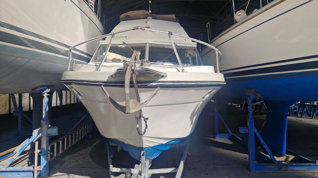 Campion Toba Fly 26