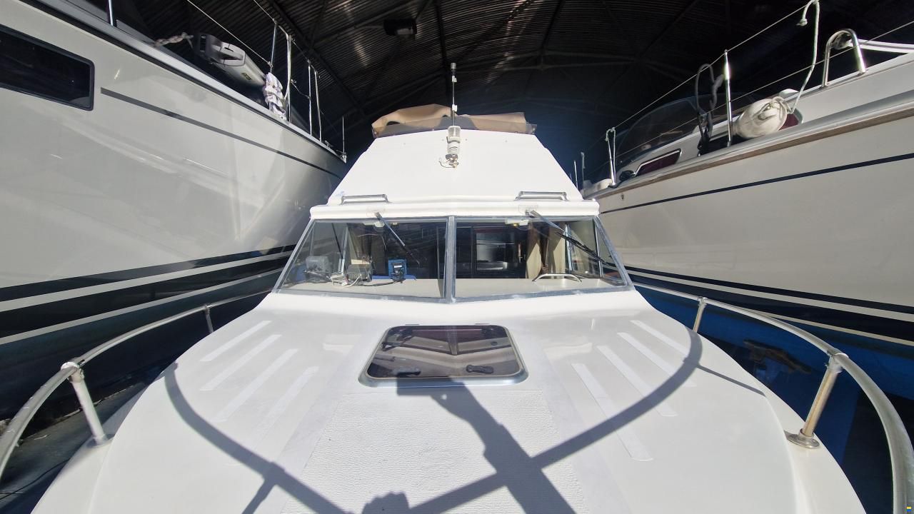Campion Toba Fly 26