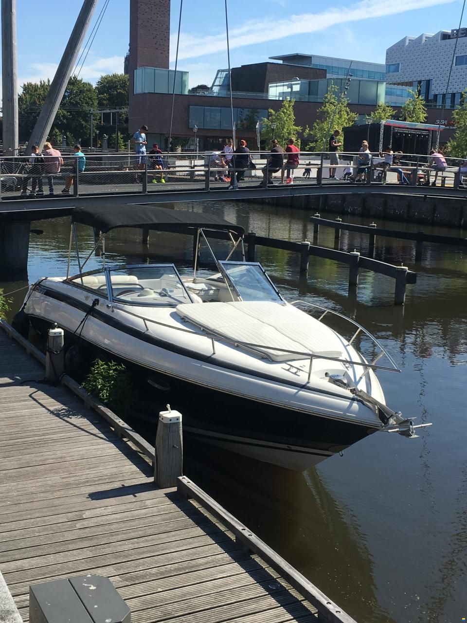 Cobalt 293