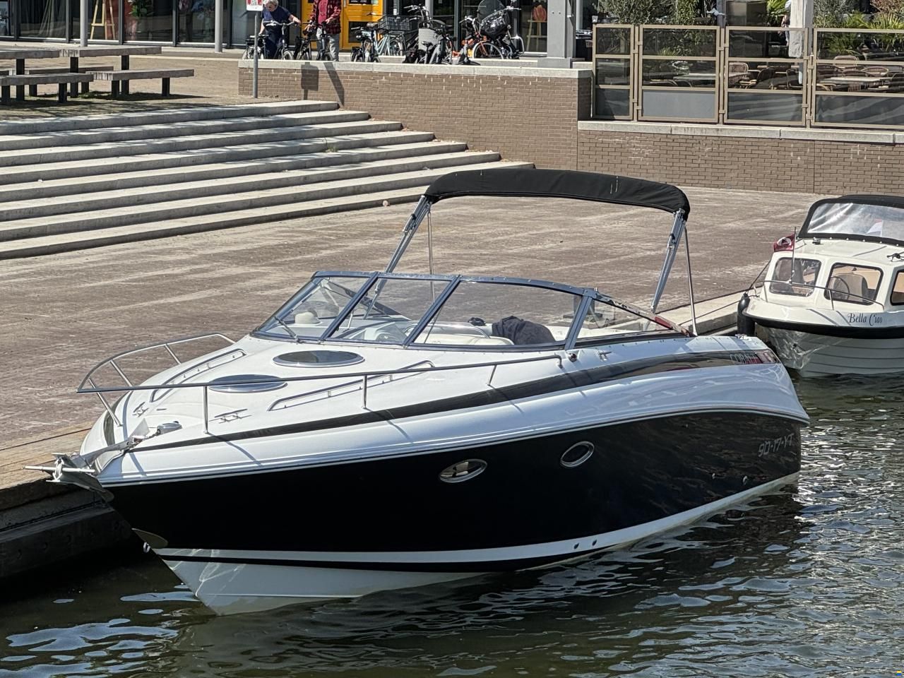 Cobalt 293