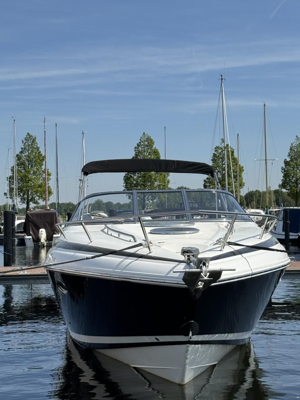 Cobalt 293