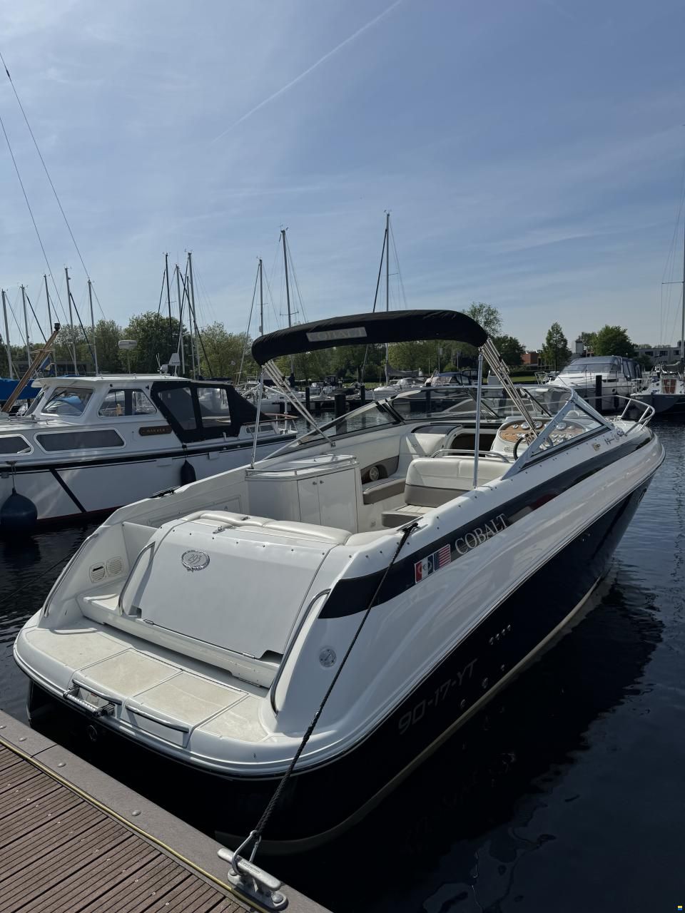 Cobalt 293