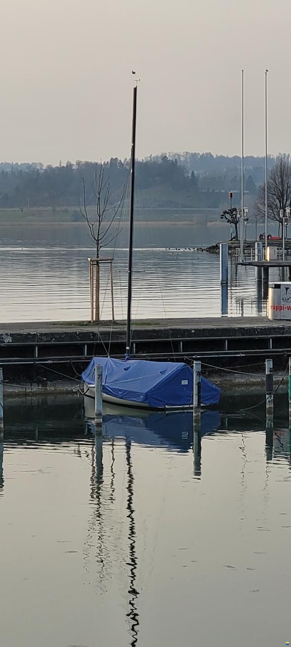 Phil&eacute;as Open 5.00