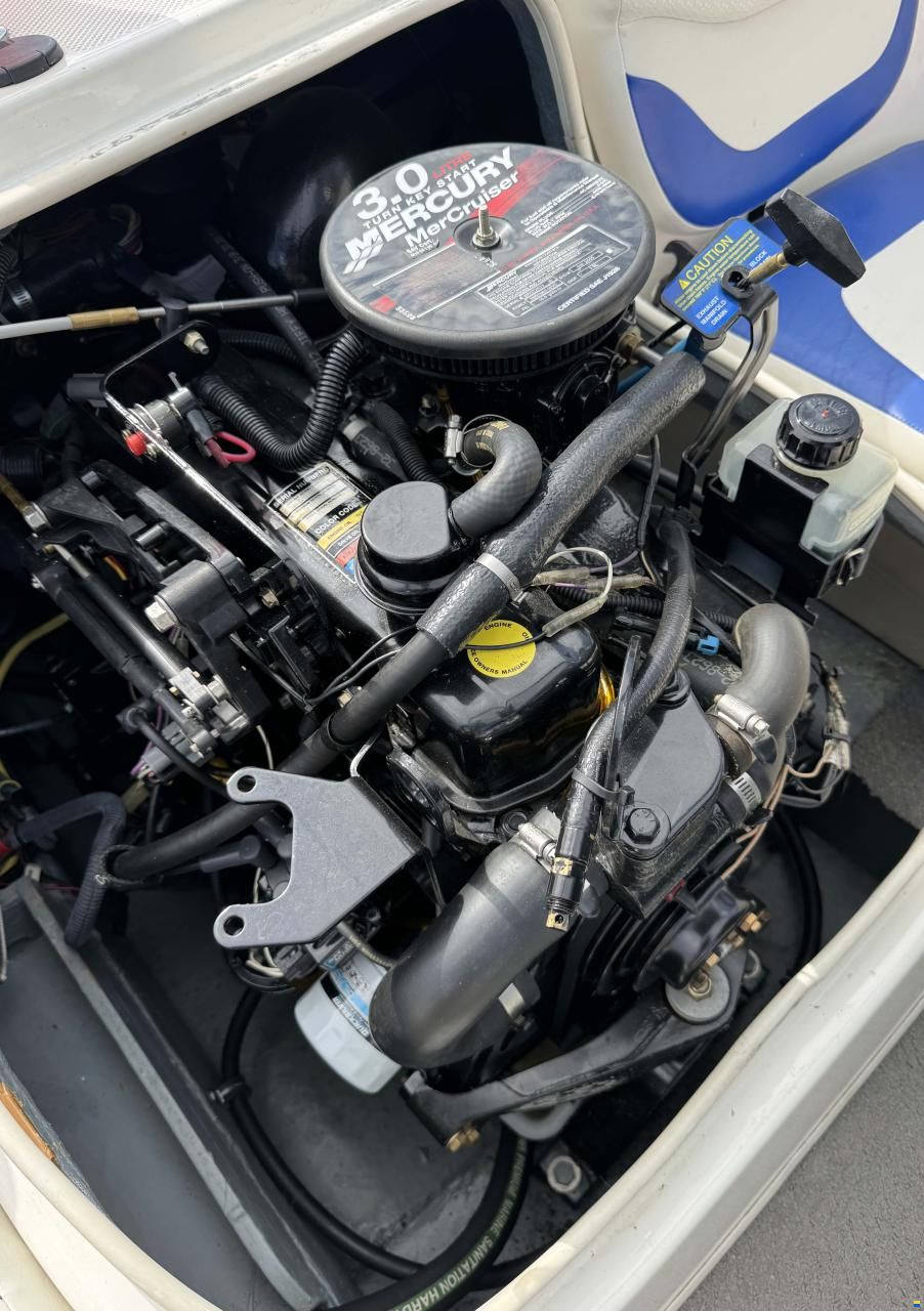 Bayliner 175 Capri avec remorque