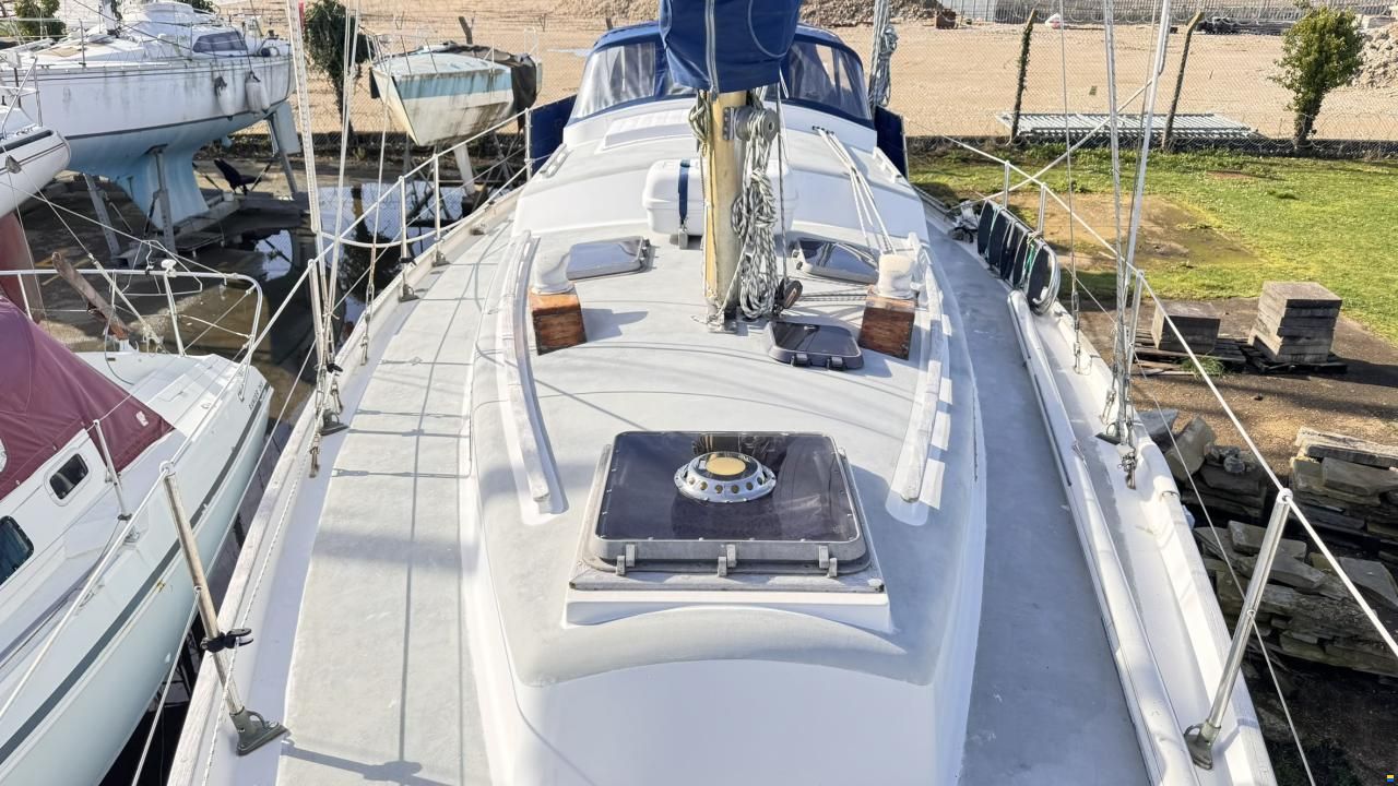 Bowman 36