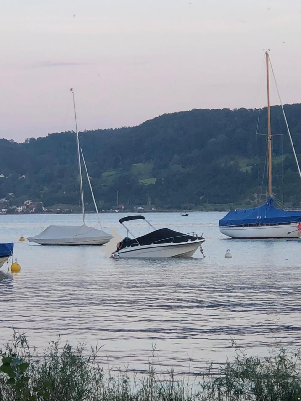 Trident Boats Sundeck 530