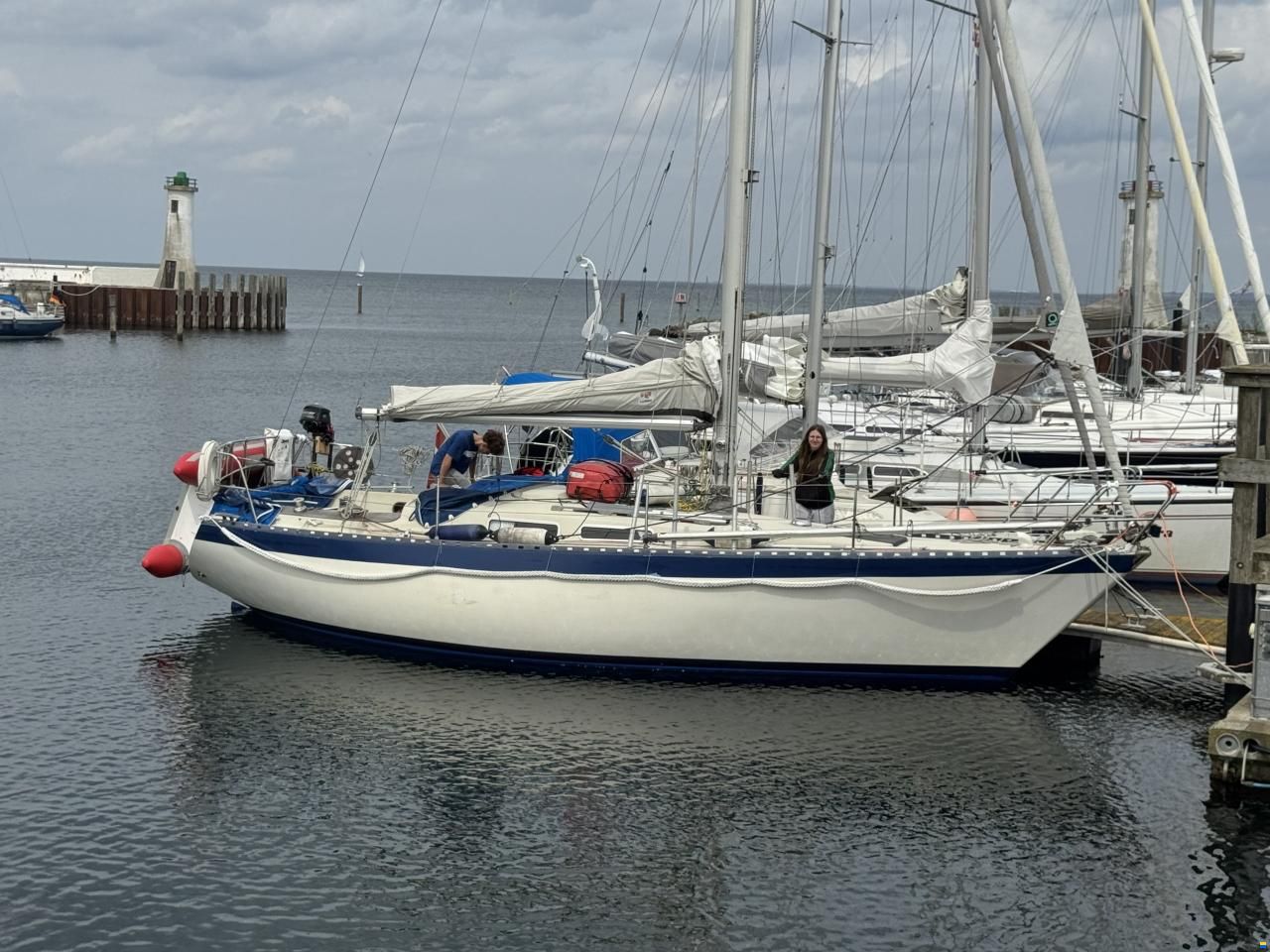 Forgus 31
