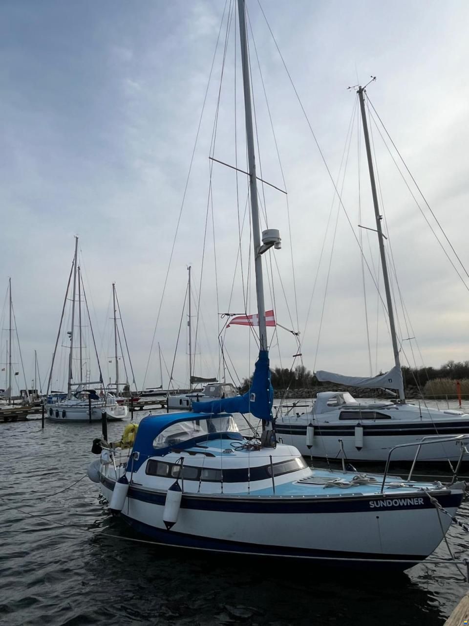 Newbridge Virgo Voyager