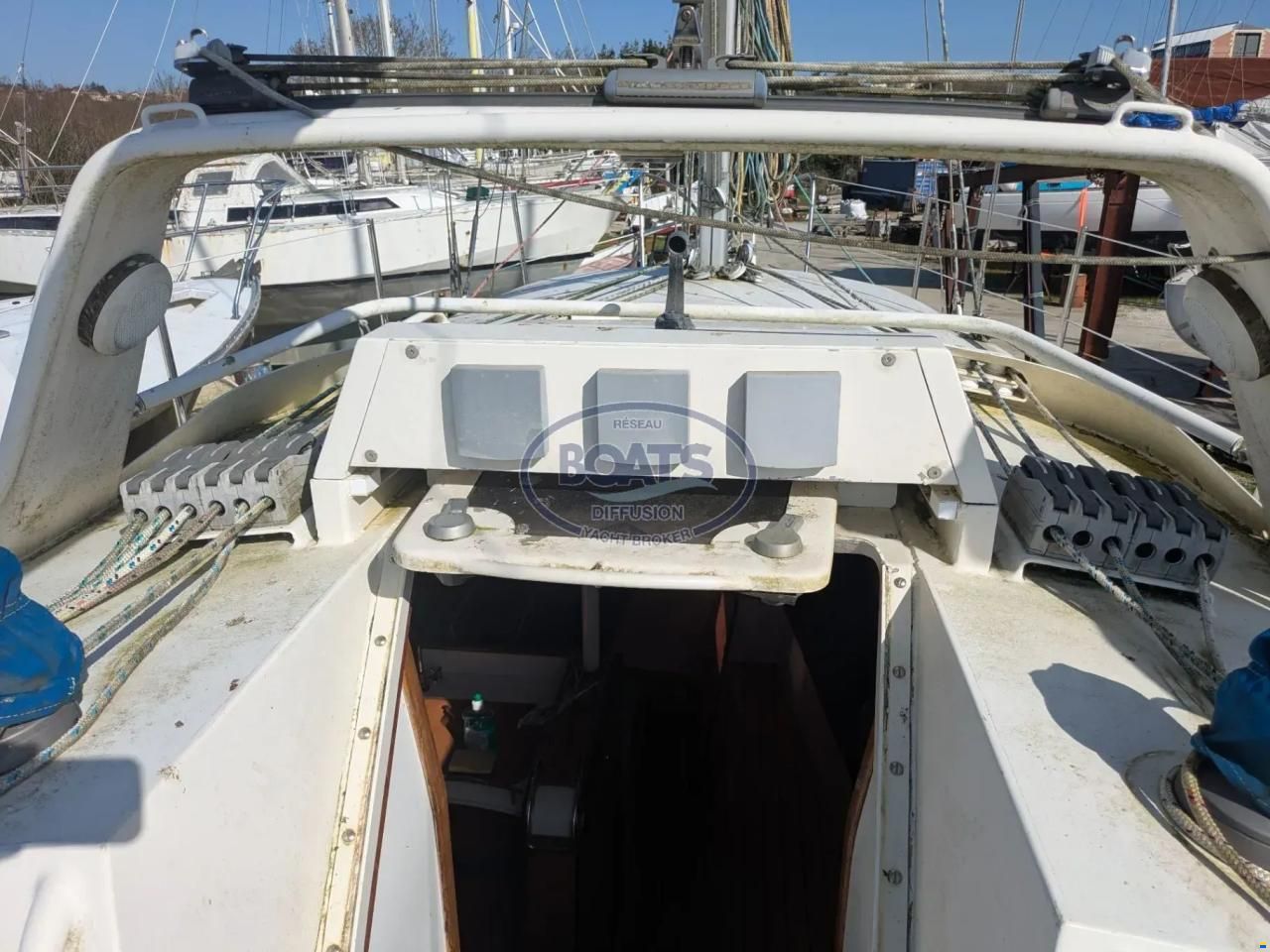 MANATEA 350