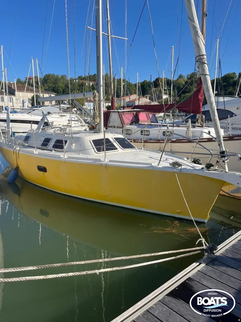 MANATEA 350