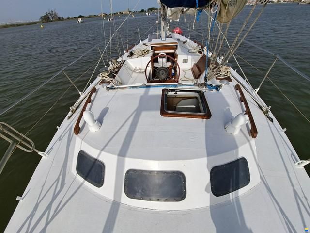 Custom boat