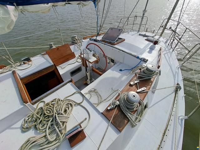 Custom boat