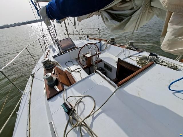 Custom boat