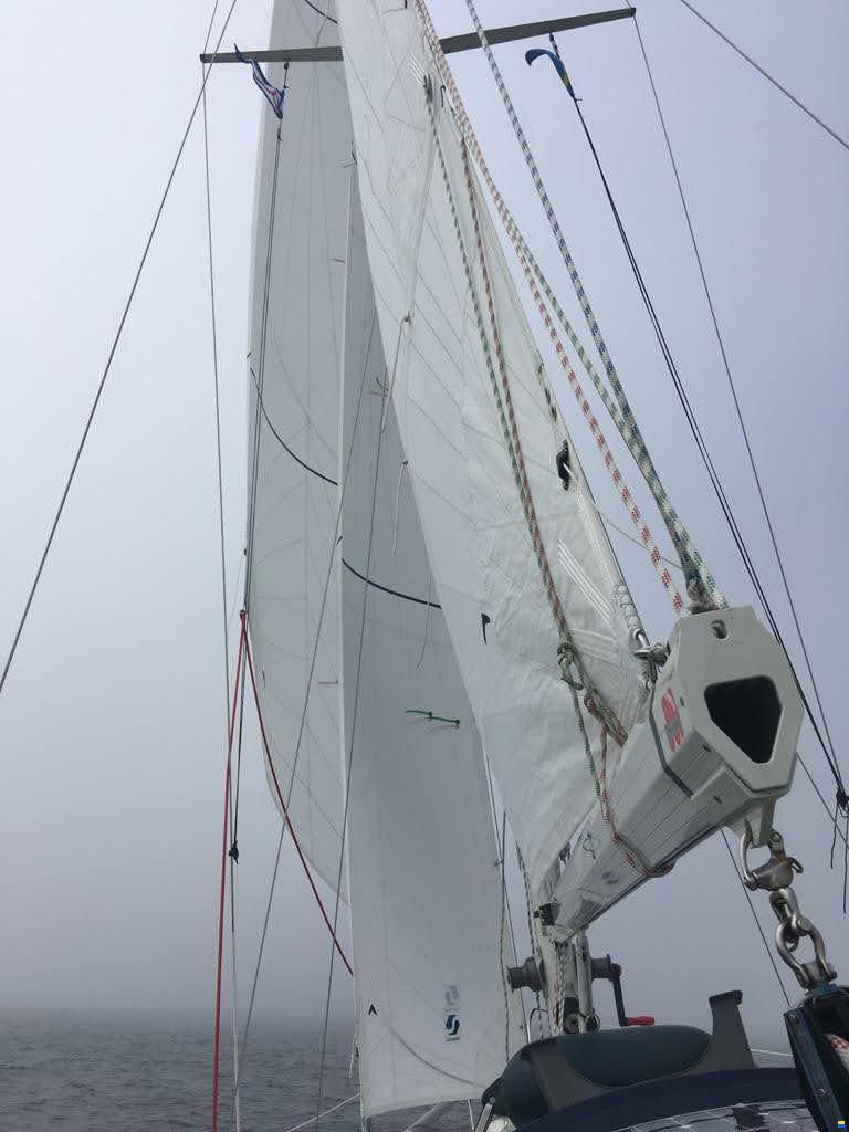 Tyler Boat Co Ohlson 35