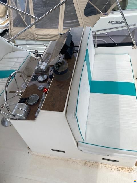 Horizon 36
