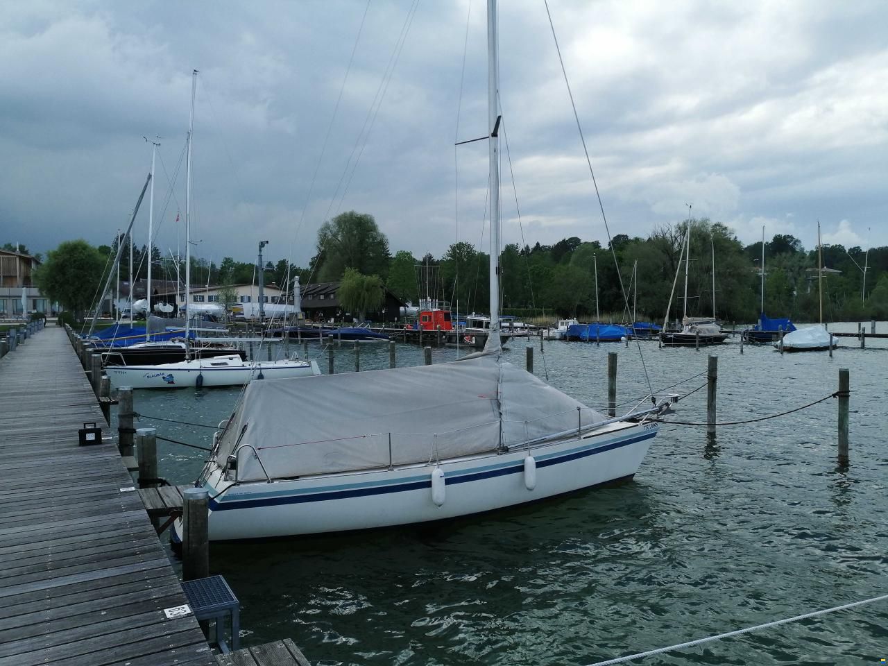 Finngulf Tabasco 26