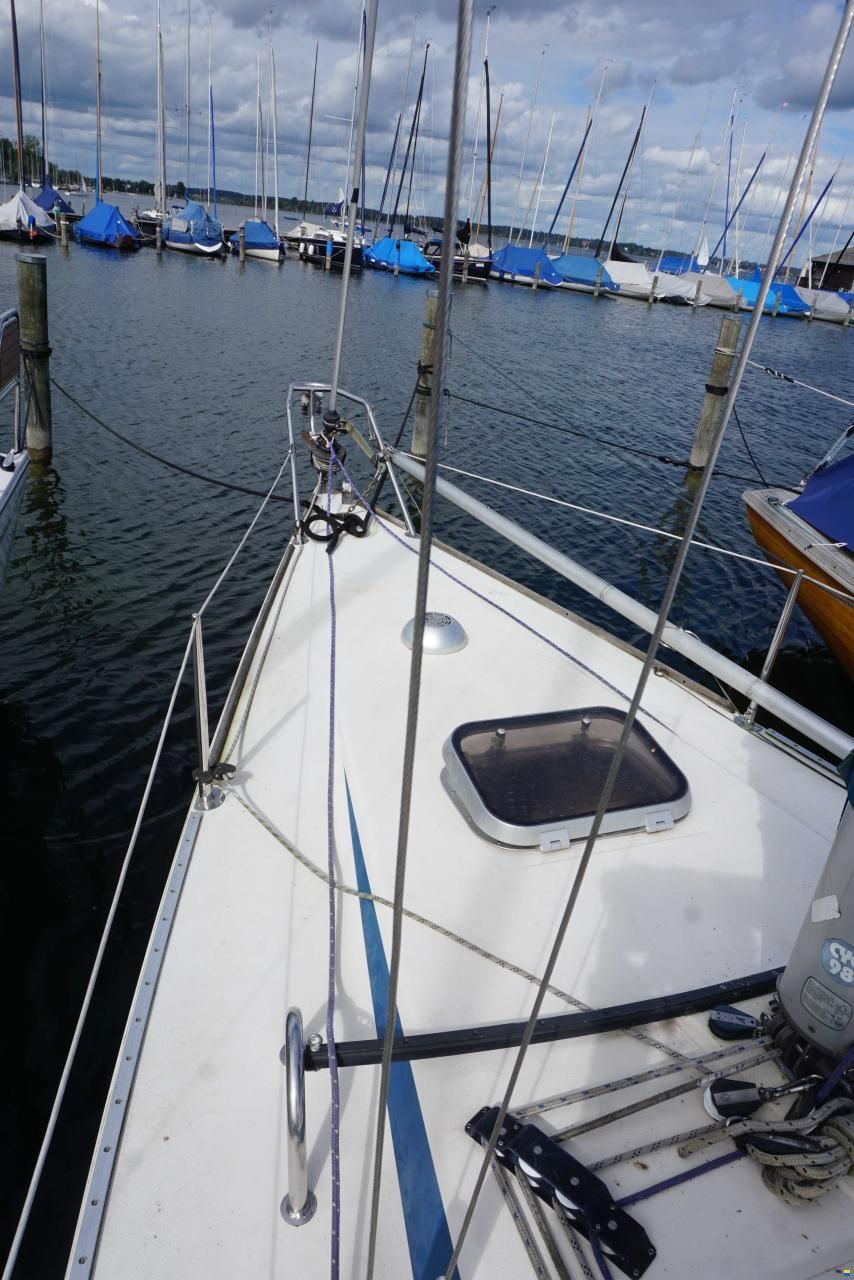 Finngulf Tabasco 26