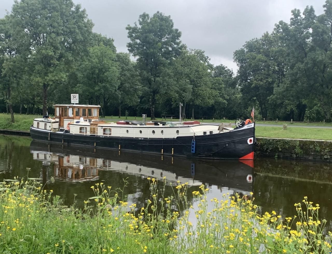 Hollandia Stelisteven