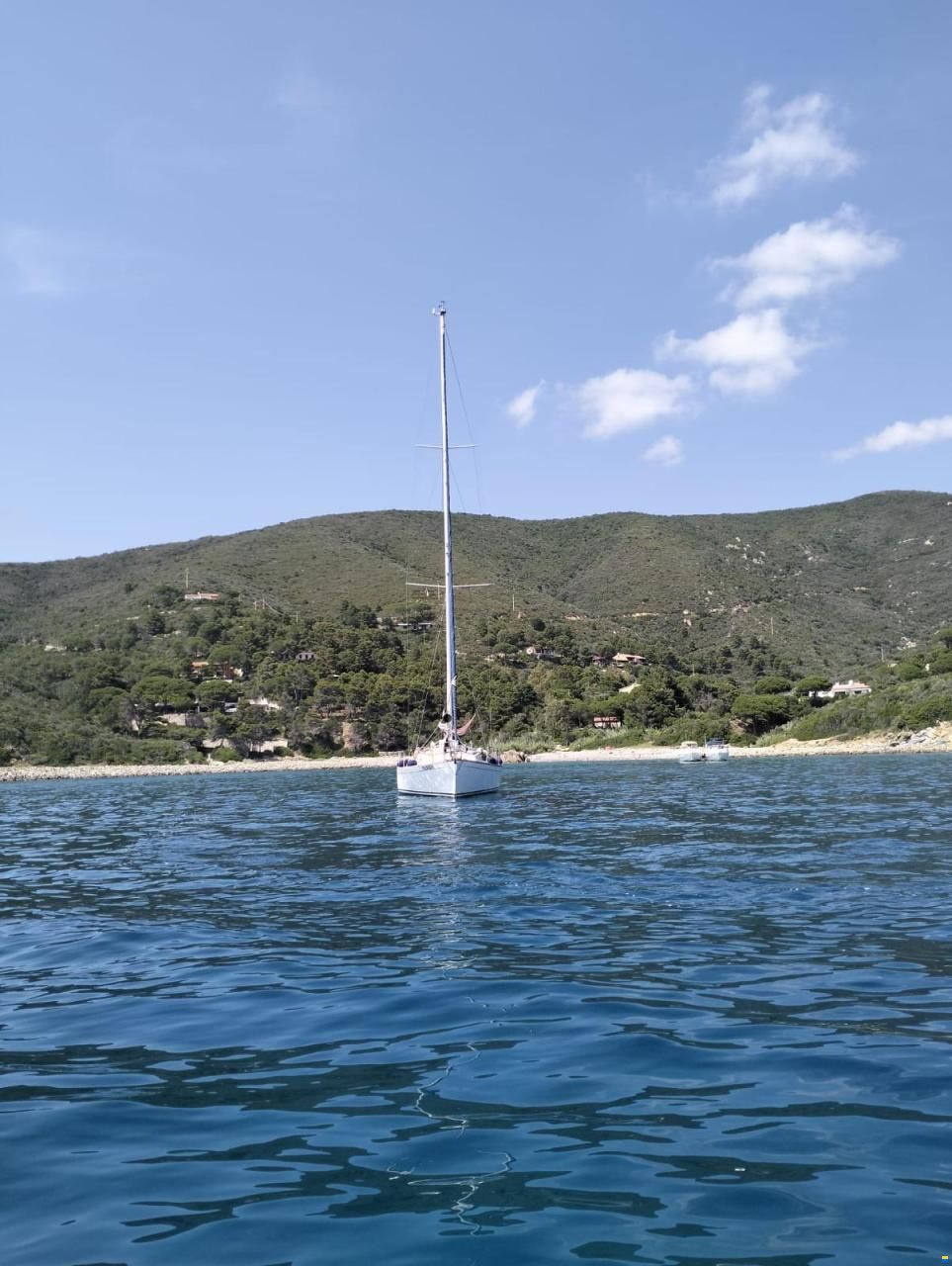 Sloop 12