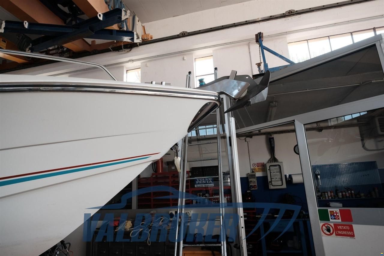 Sunseeker Hawk 31
