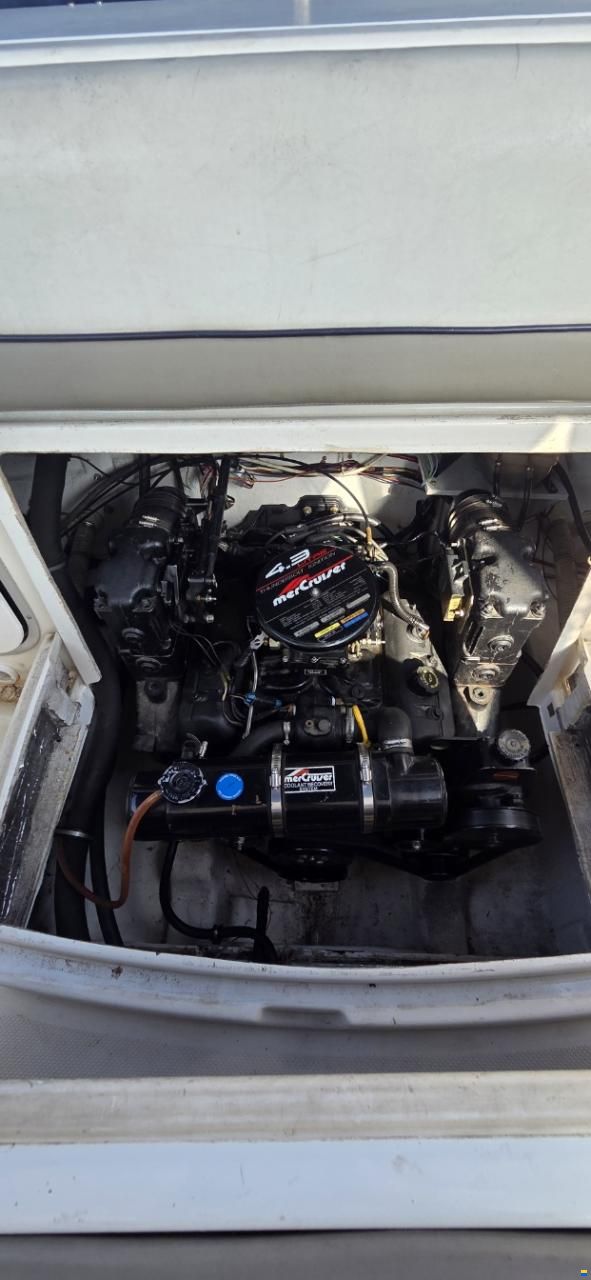 Bayliner 2252 Ciera