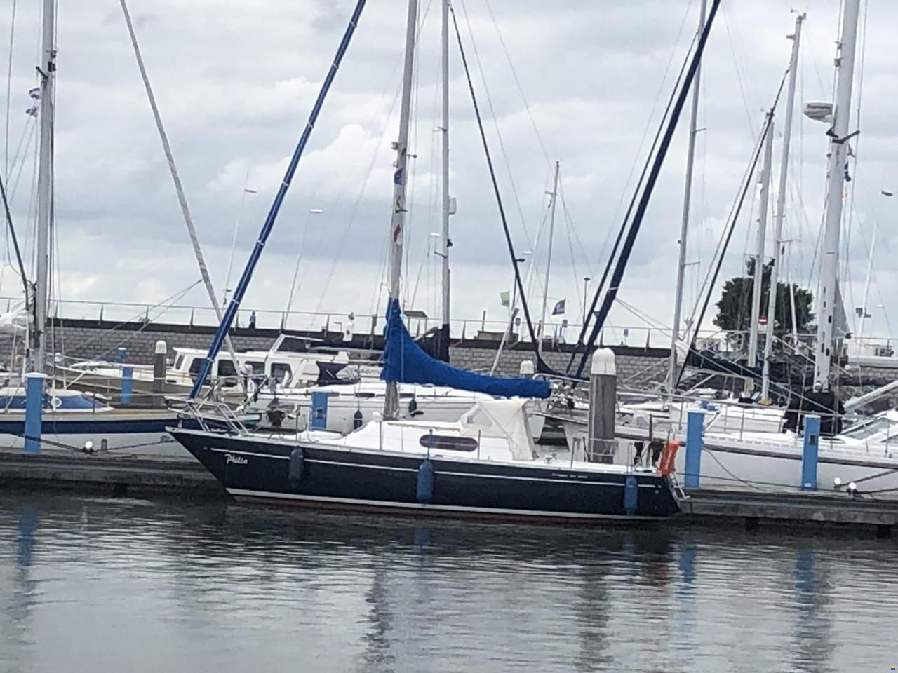 Mallard Ecume de Mer