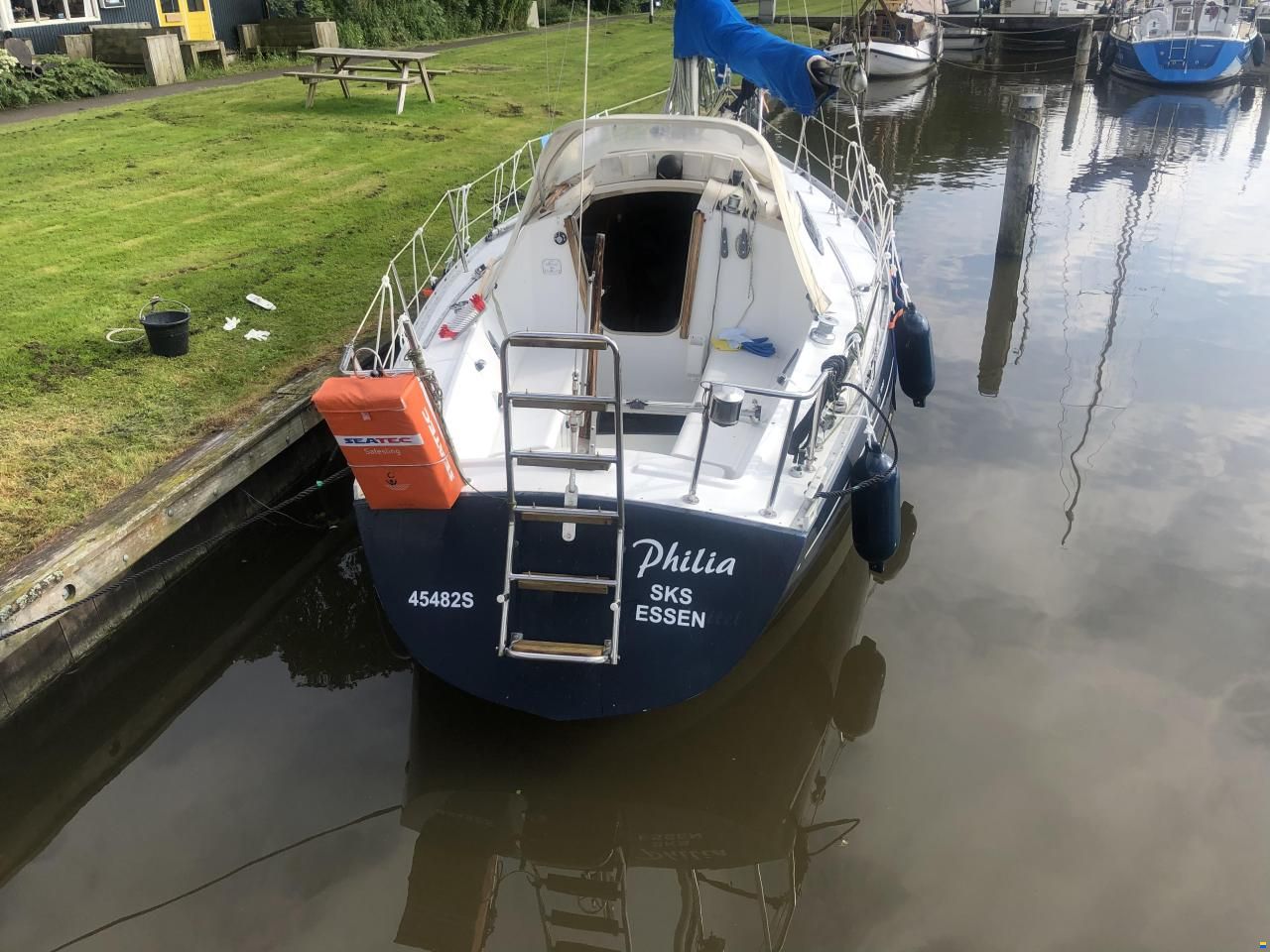 Mallard Ecume de Mer