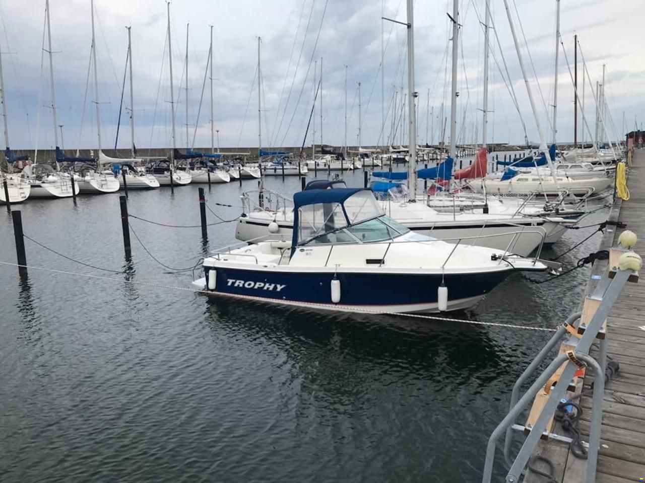 Bayliner Trophy