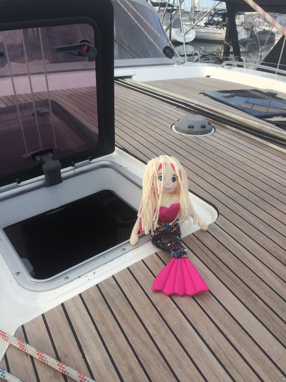 Bavaria Vision 46