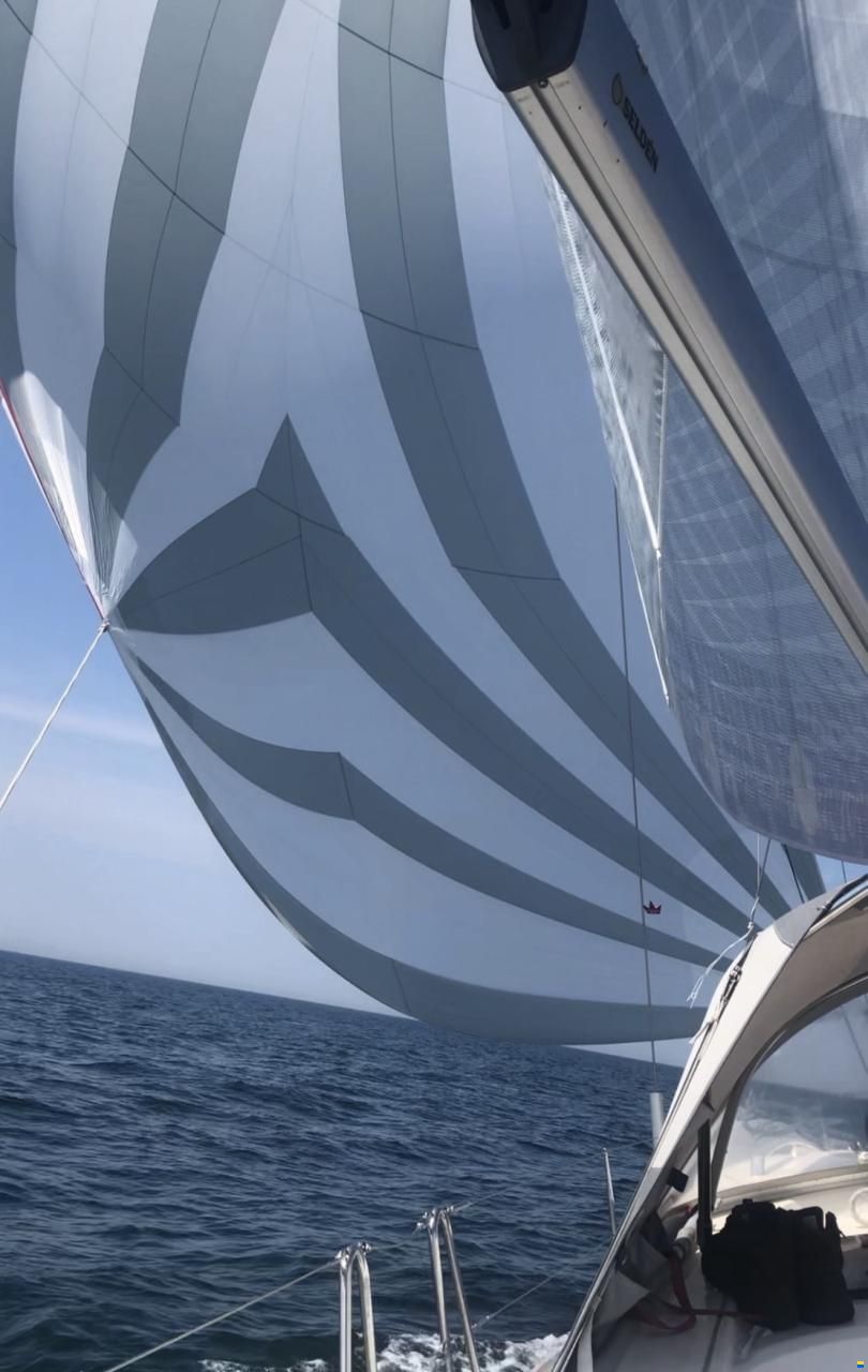 Bavaria Vision 46