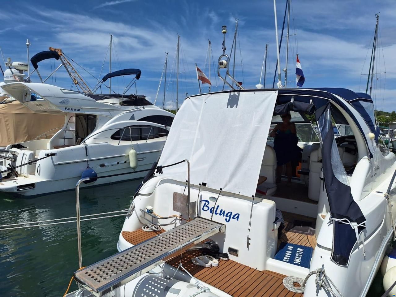 Sessa Oyster 34