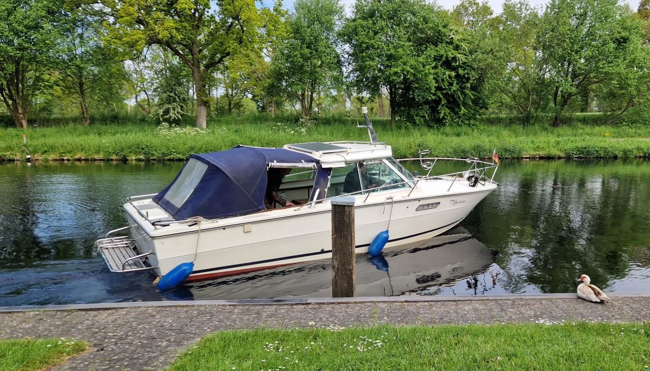 Sea Ray SRV 240