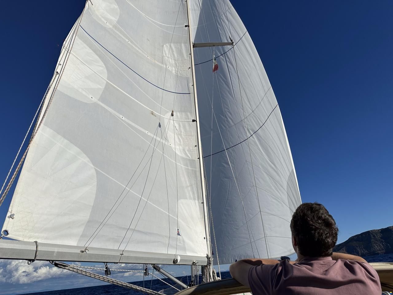 Sparkman and Stephens IW40