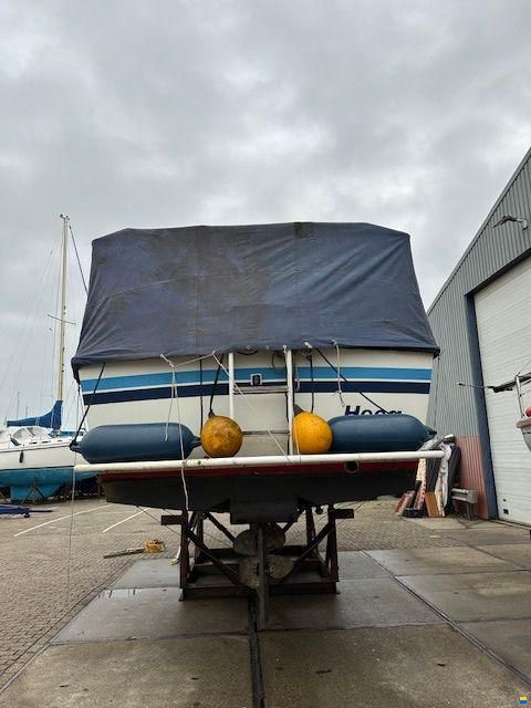 Aquanaut Beauty 10.5 AK