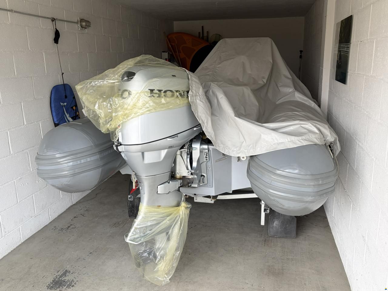 Caribe CL-13 Honda BF 50 LRTU