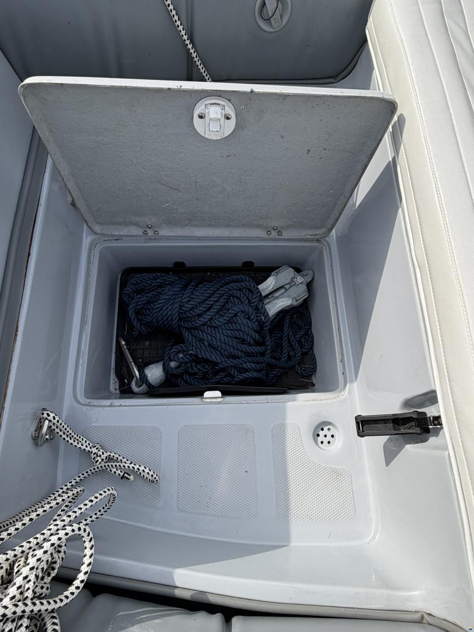 Caribe CL-13 Honda BF 50 LRTU