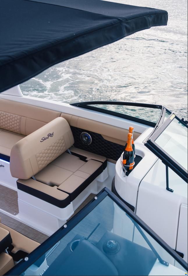 Sea Ray SDX270