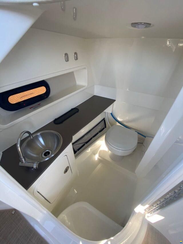 Sea Ray SDX270
