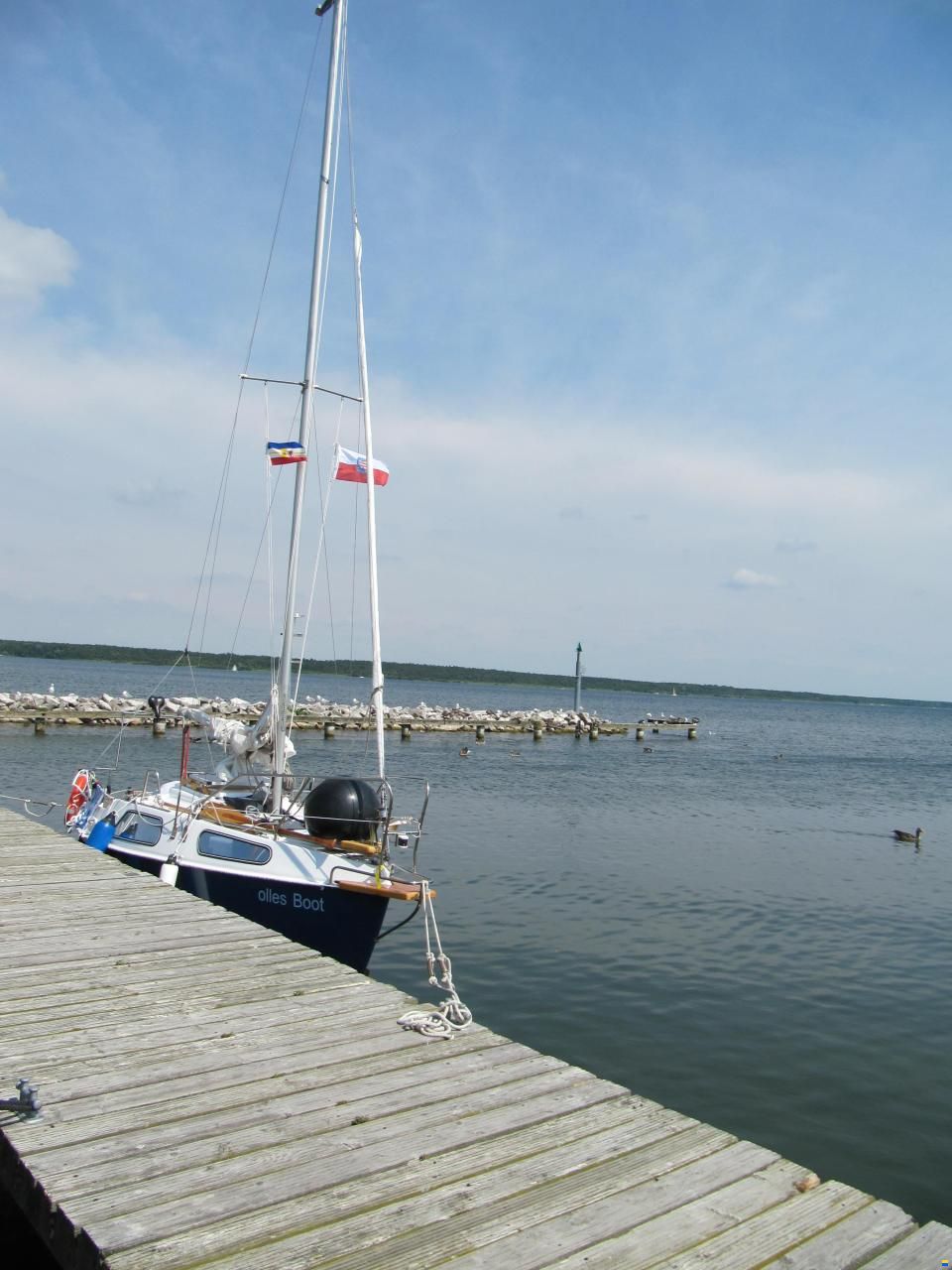 BWC Flaying Cruiser C