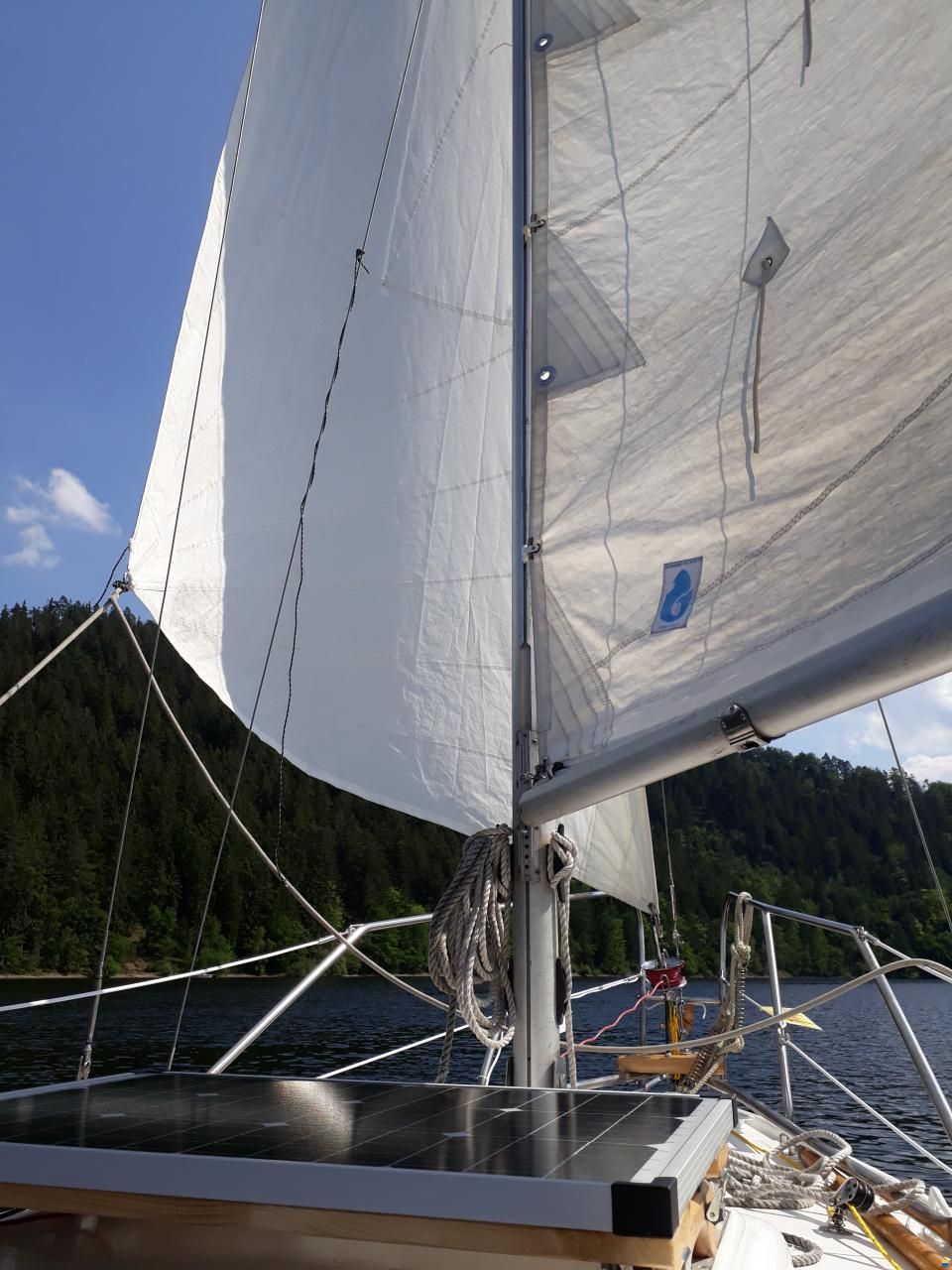 BWC Flaying Cruiser C
