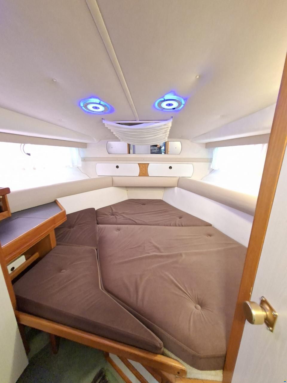 Sealine 310 Fly