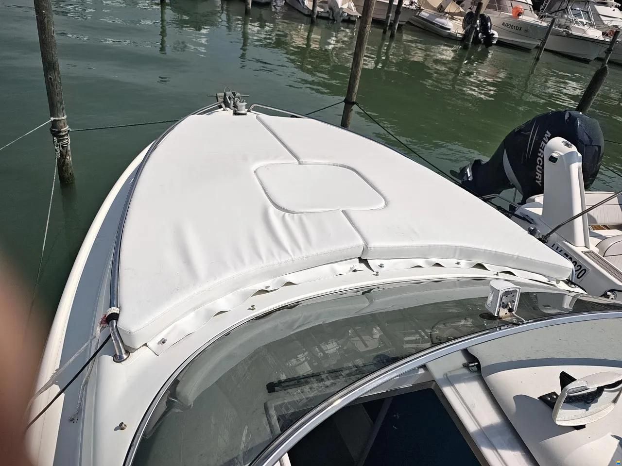 Sessa Ninja 26