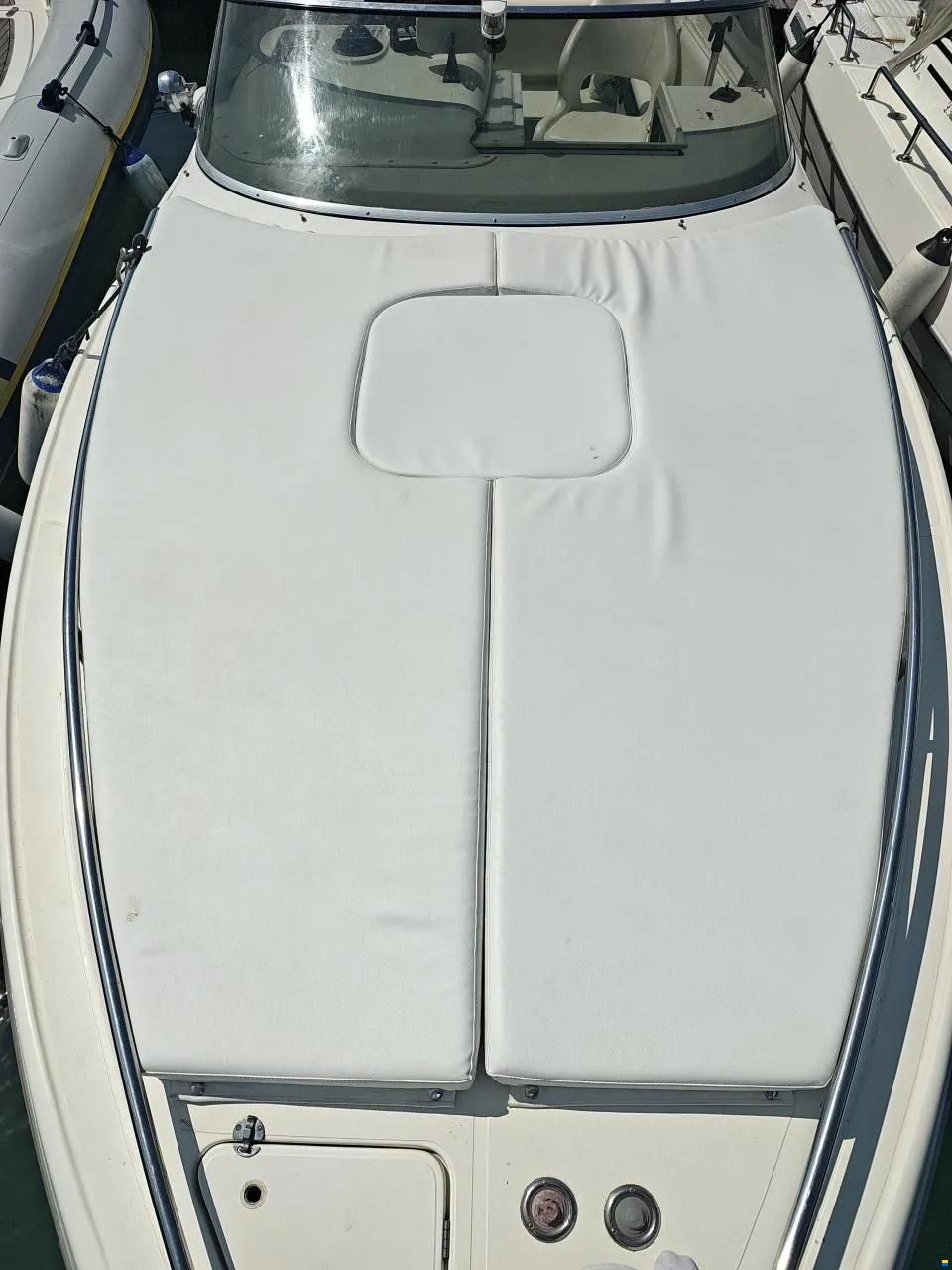 Sessa Ninja 26